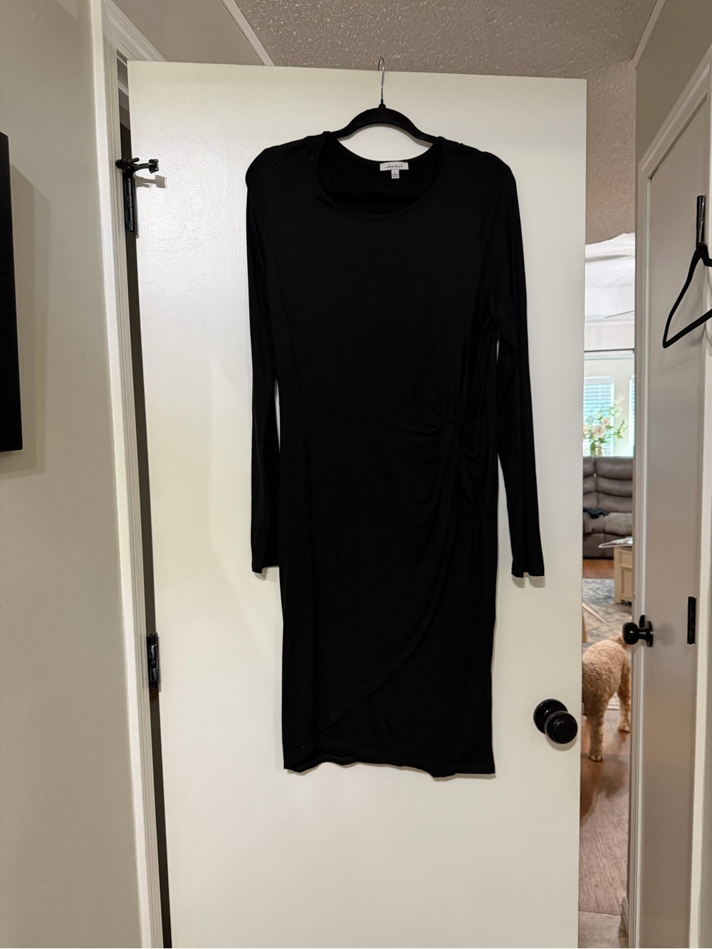 Black Long-Sleeve Knot-Detail Dress - Women